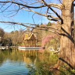 Der Westpark - viel schöner als der Englische Garten