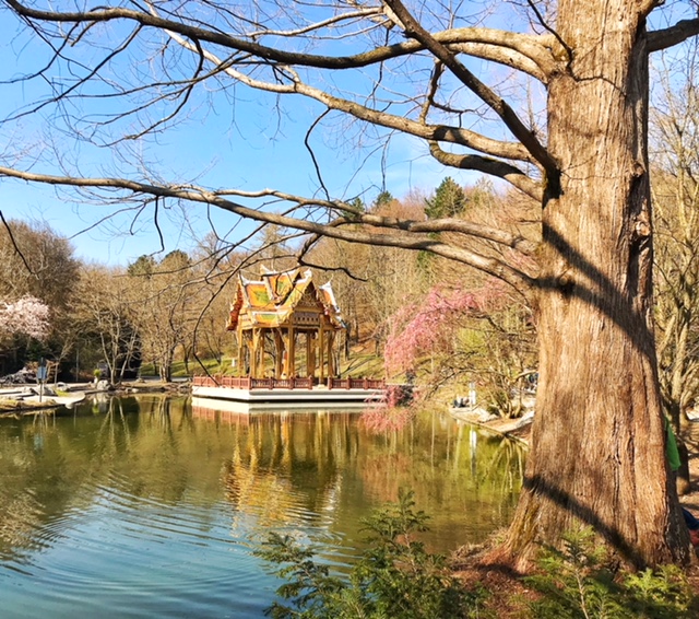 Der Westpark - viel schöner als der Englische Garten