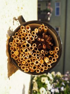 Insektenhotel selbermachen