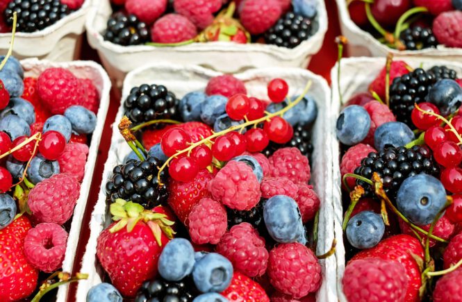 Beeren pflücken rund um München