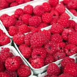 Beeren pflücken rund um München