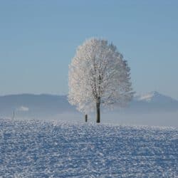 Winter mit Kindern in München