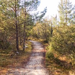 Kinderwagen-Wanderung am Lech