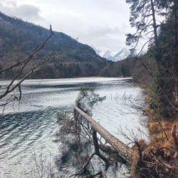 Idyllische Familienwanderung um den Alpsee beim Schloss Neuschwanstein