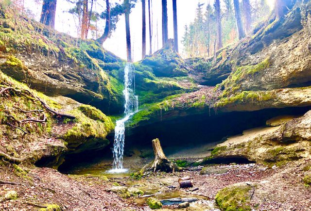 Familienwanderung zur Dachshöhle