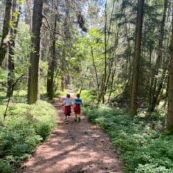 Großer Pfahl Rundwanderweg im Bayerischen Wald