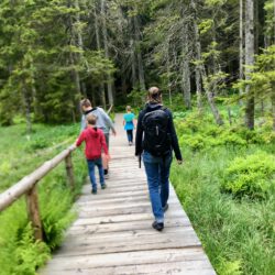 Großer Arbersee Bayerischer Wald