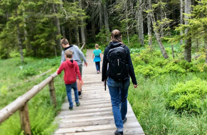 Großer Arbersee Bayerischer Wald