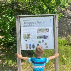 Großer Pfahl Rundwanderweg im Bayerischen Wald