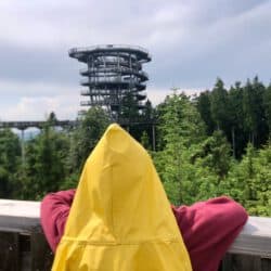 Waldwipfelweg Bayerischer Wald