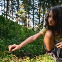 Naturerlebnisse + Wanderspaß Wasserspaß bei den Sommer-Bergbahnen Wilder Kaiser-Brixental