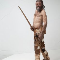 Rekonstruktion des Mannes aus dem Eis © Südtiroler Archäologiemuseum/Ochsenreiter