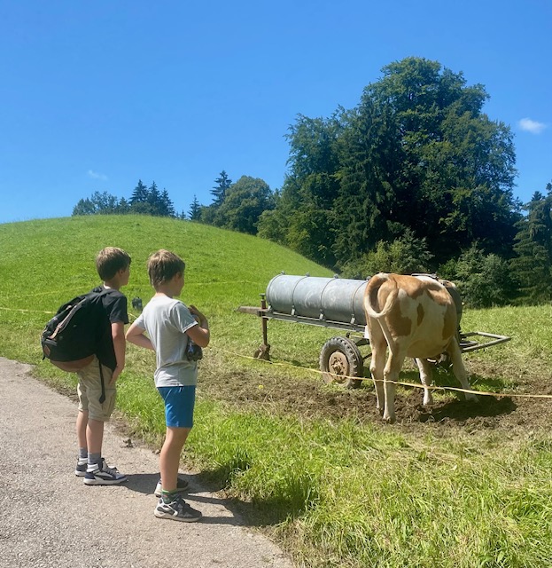 Rundwanderung Osterseen